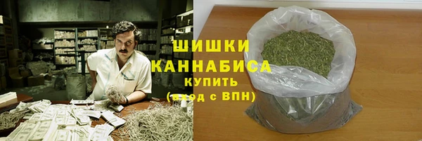 скорость Вяземский