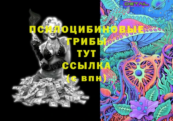 гидропоника Карталы