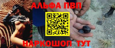 шишки Тверь
