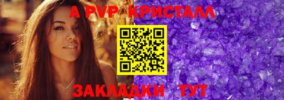 шишки Тверь