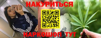 шишки Тверь