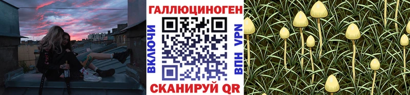Псилоцибиновые грибы Psilocybe  Сатка 