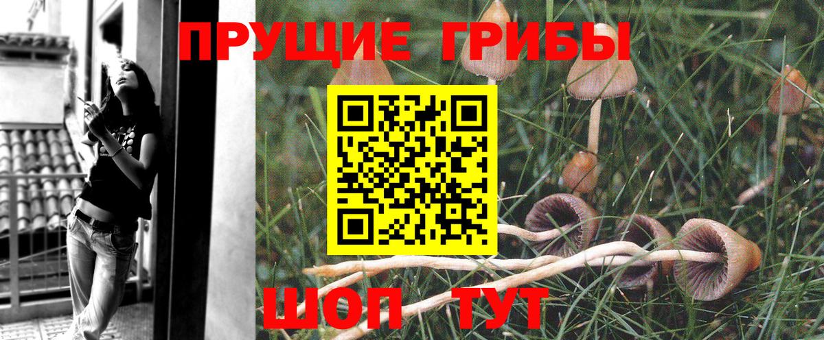 Сатка  купить наркотики сайты  Вход с VPN  Псилоцибиновые грибы MAGIC MUSHROOMS 