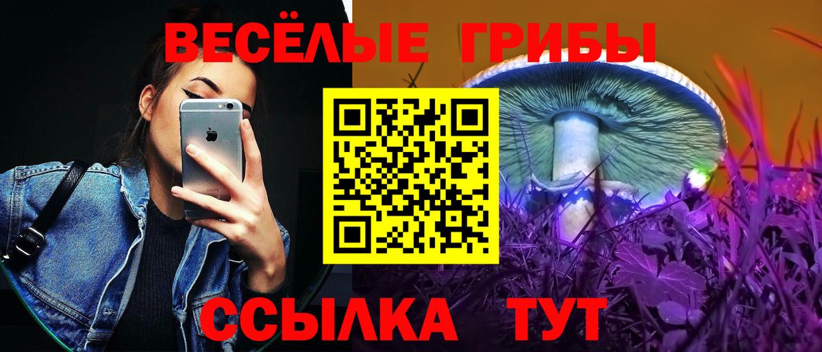 Псилоцибиновые грибы GOLDEN TEACHER Сатка